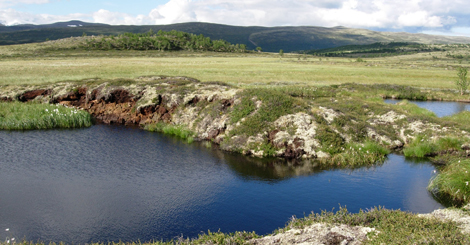 Palsmyrene på Dovrefjell forsvinner